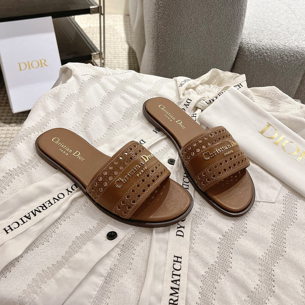 DIOR D-Lane Slide